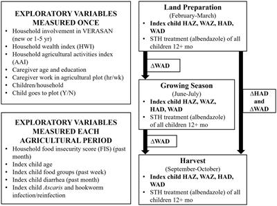 Preschool child growth attainment and velocity during an agriculture intervention in rural Panama may be diminished by soil-transmitted helminths